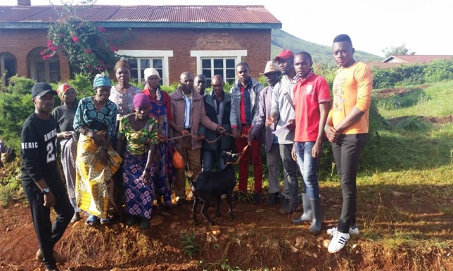 La féminisation de l’agriculture à Bideka dans la chefferie de Walungu au Sud-Kivu